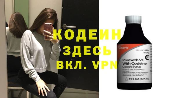 прущие грибы Новозыбков