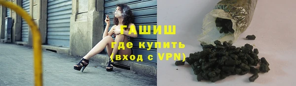прущие грибы Новозыбков