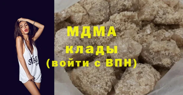 прущие грибы Новозыбков