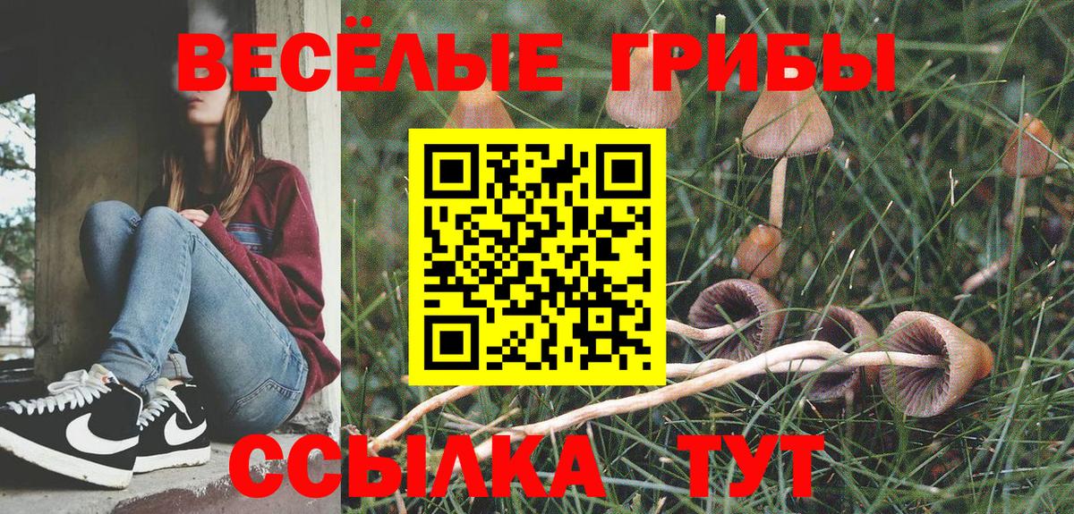 Псилоцибиновые грибы Cubensis  Отрадное  Галлюциногенные грибы ЛСД 