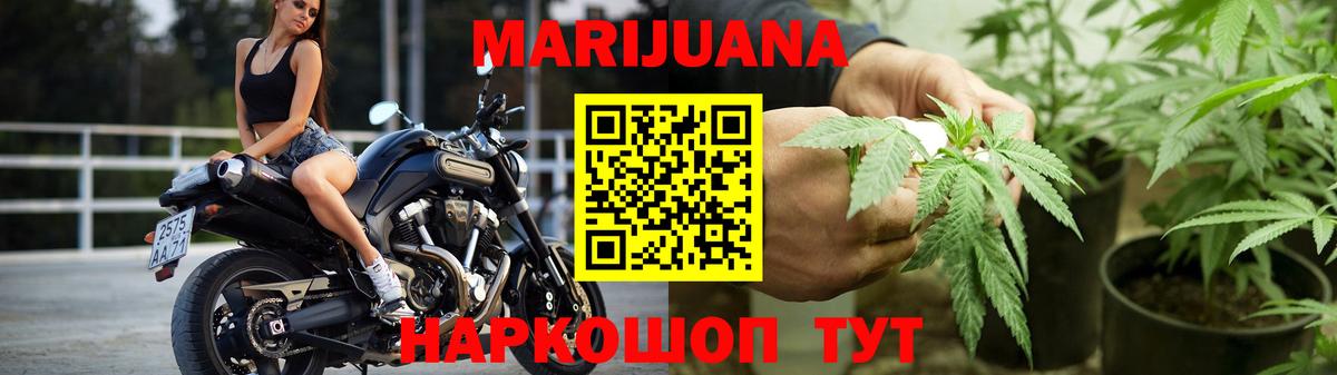 Бошки марихуана OG Kush Отрадное